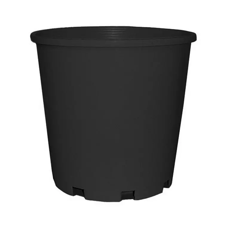 20cm Lightweight Plastic Planter Pot for Small Plants & Herbs