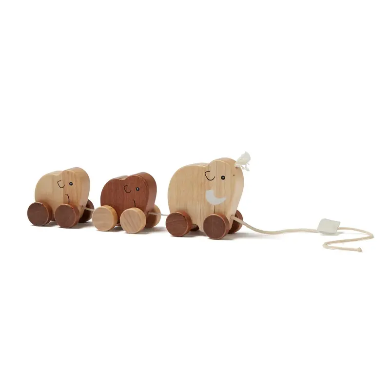 Kids Concept Neo Pull-Along Family Toy Set