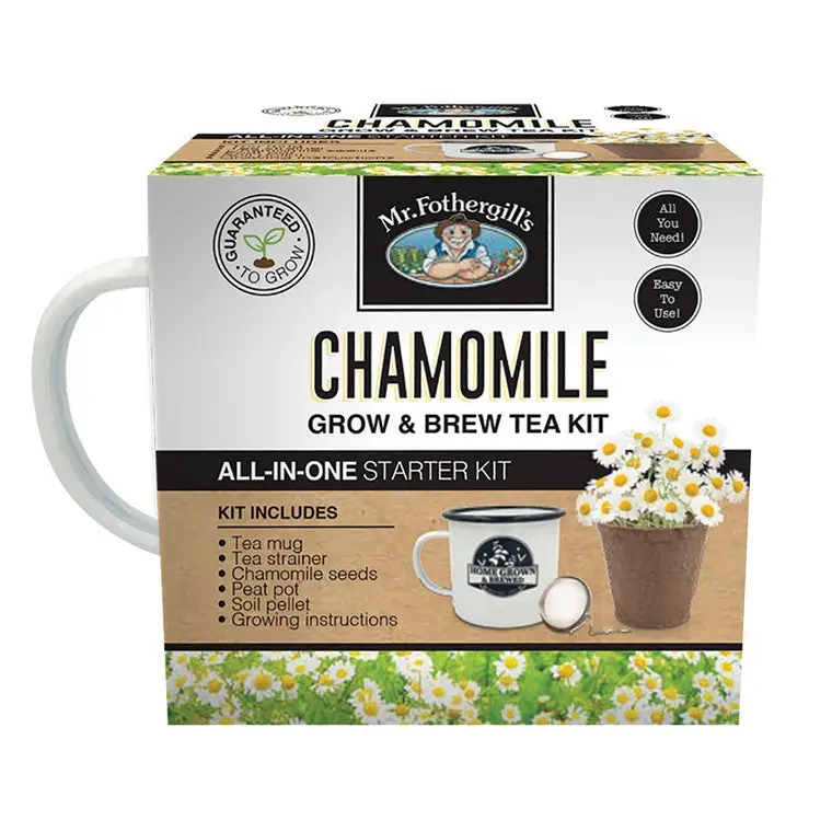 Mr. Fothergill’s Chamomile Tea Growing Kit – Brew Your Own Calming Herbal Infusion