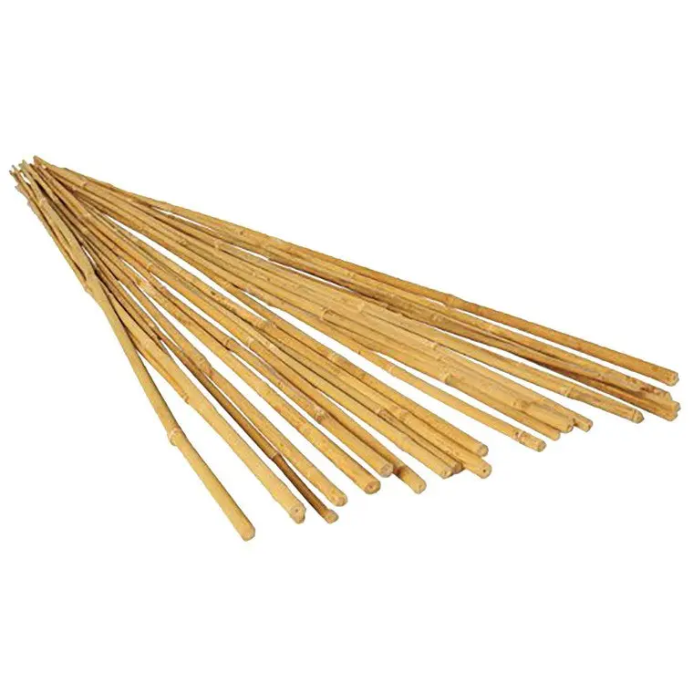 Tall Bamboo Garden Stakes – 120cm Height, Pack of 20