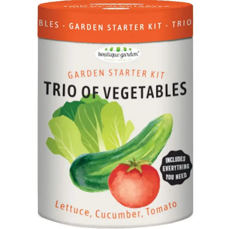 Vegetable Garden Starter Kit – Trio of Easy-to-Grow Seed Varieties